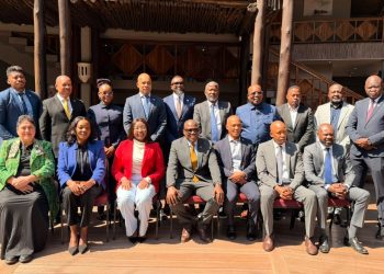 Group of professionals in suits posing for a formal outdoor team photo on a wooden deck.